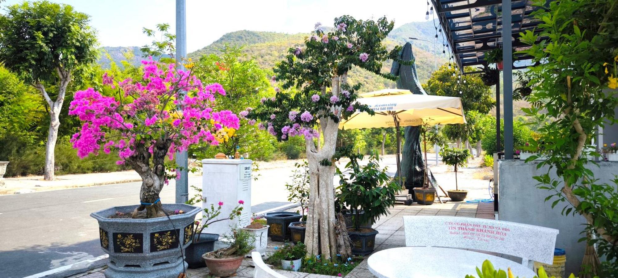 Cobi'S Home Cam Lam Exterior foto